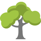 Claremore Tree Removal