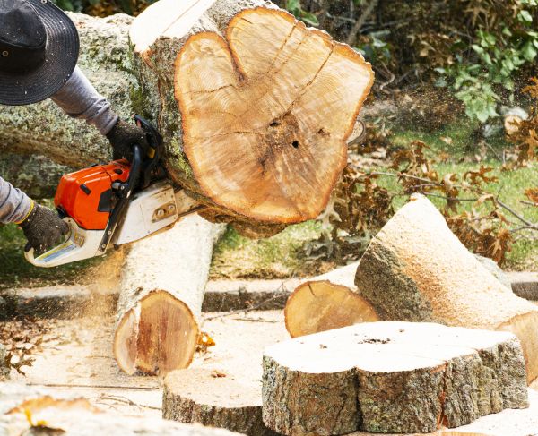Tree Removal Service in Claremore